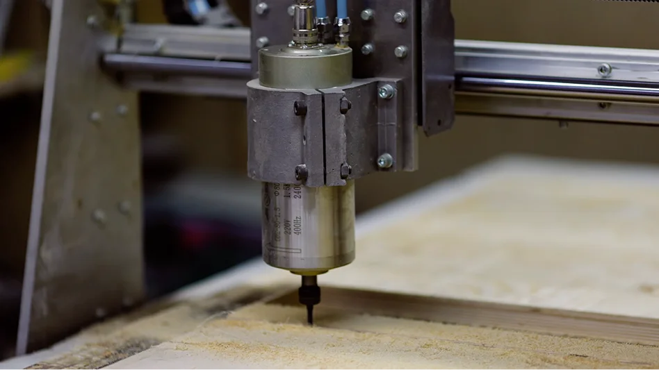 Zdjęcie Sekcji Głównej